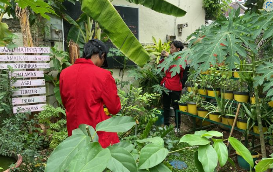 Artikel Tanaman Baru